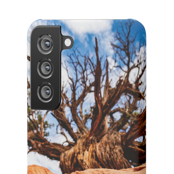 Desert Reach - Phone Case