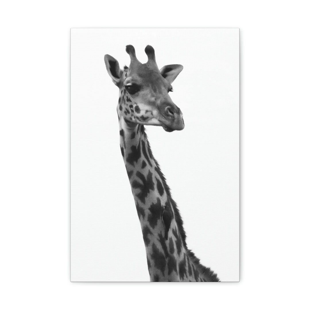 Giraffe Portrait in Black and White  - Canvas