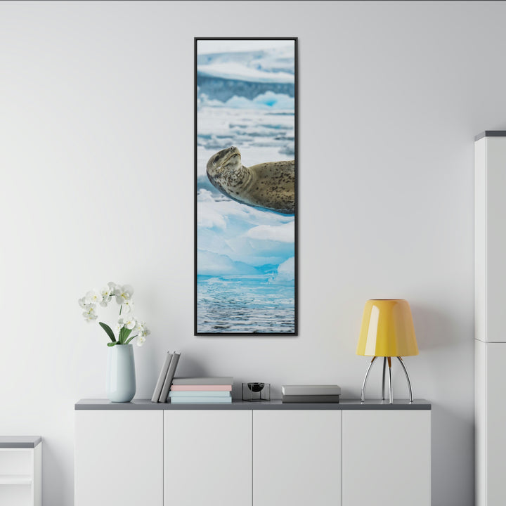 Leopard Seal Relaxing - Canvas with Frame