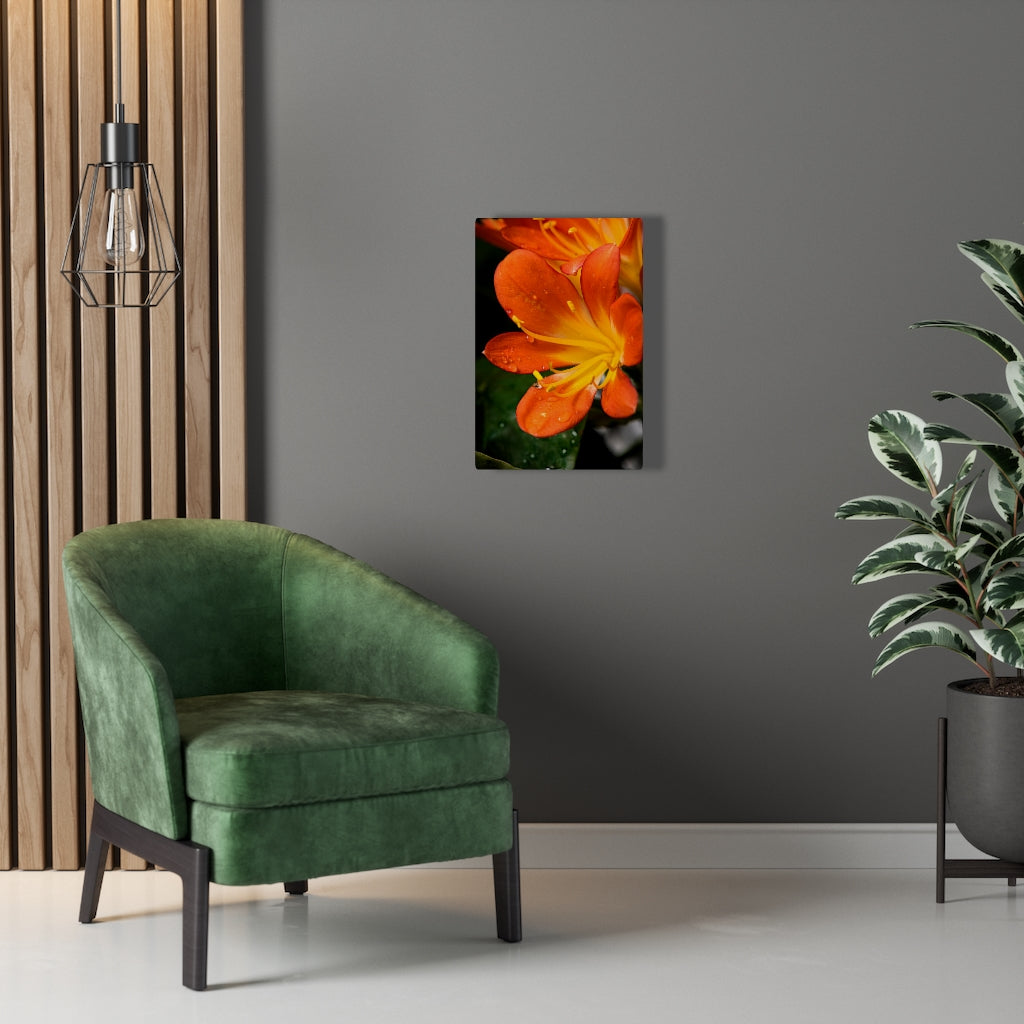 Bright Bush Lily - Canvas