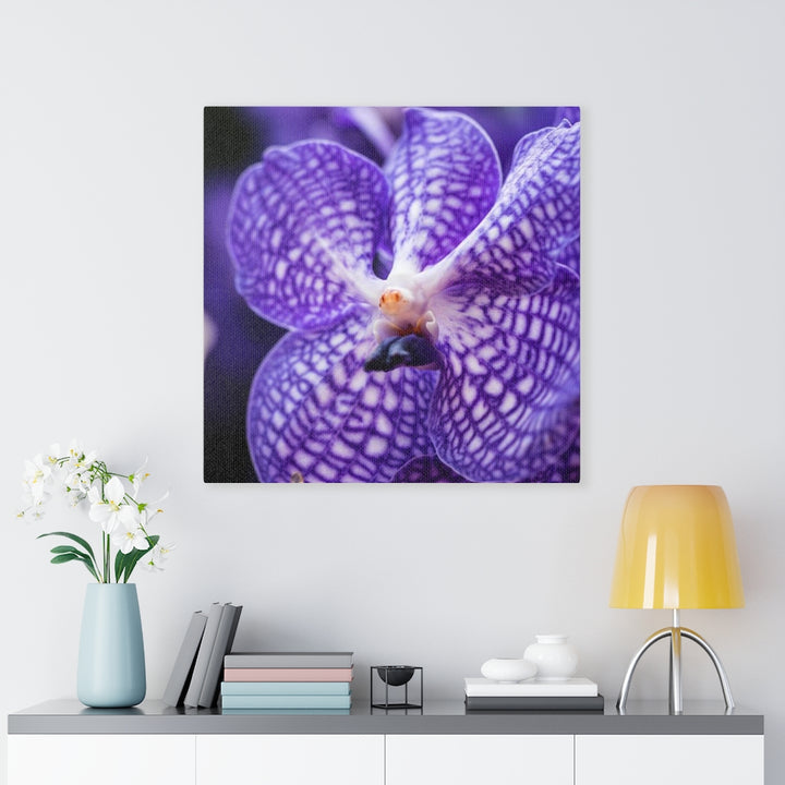 Orchid Detail - Canvas