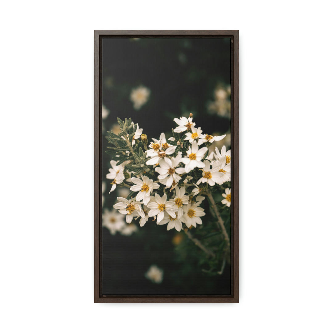 A Touch of White - Canvas with Frame