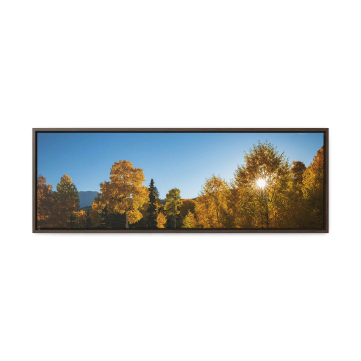 Sun Through the Aspens - Canvas with Frame