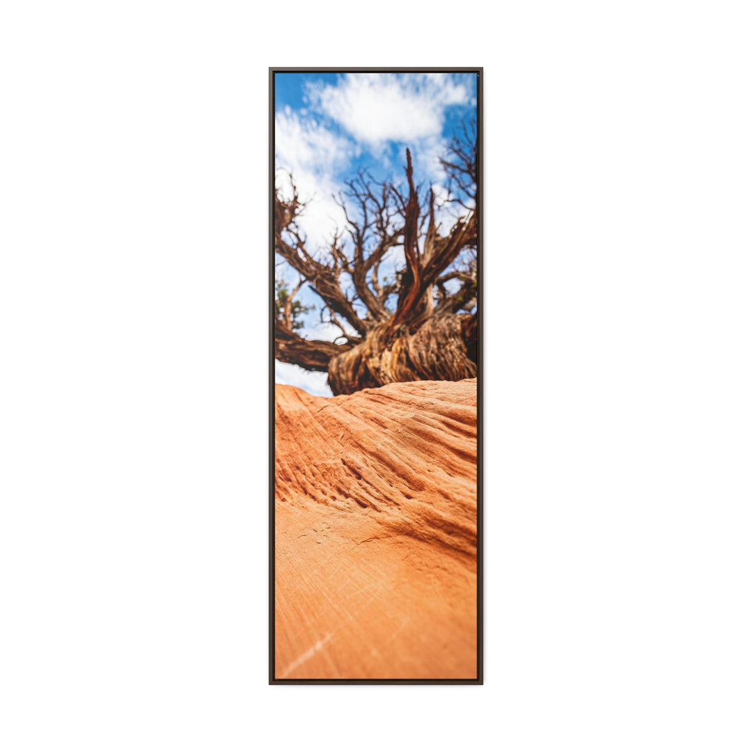 Desert Reach - Canvas with Frame