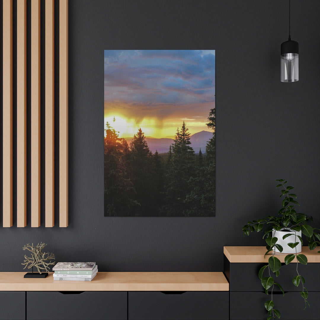 Rainy Sunset Through the Trees - Canvas