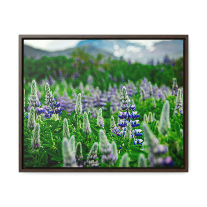 Glowing Lupin with Mountains - Canvas with Frame