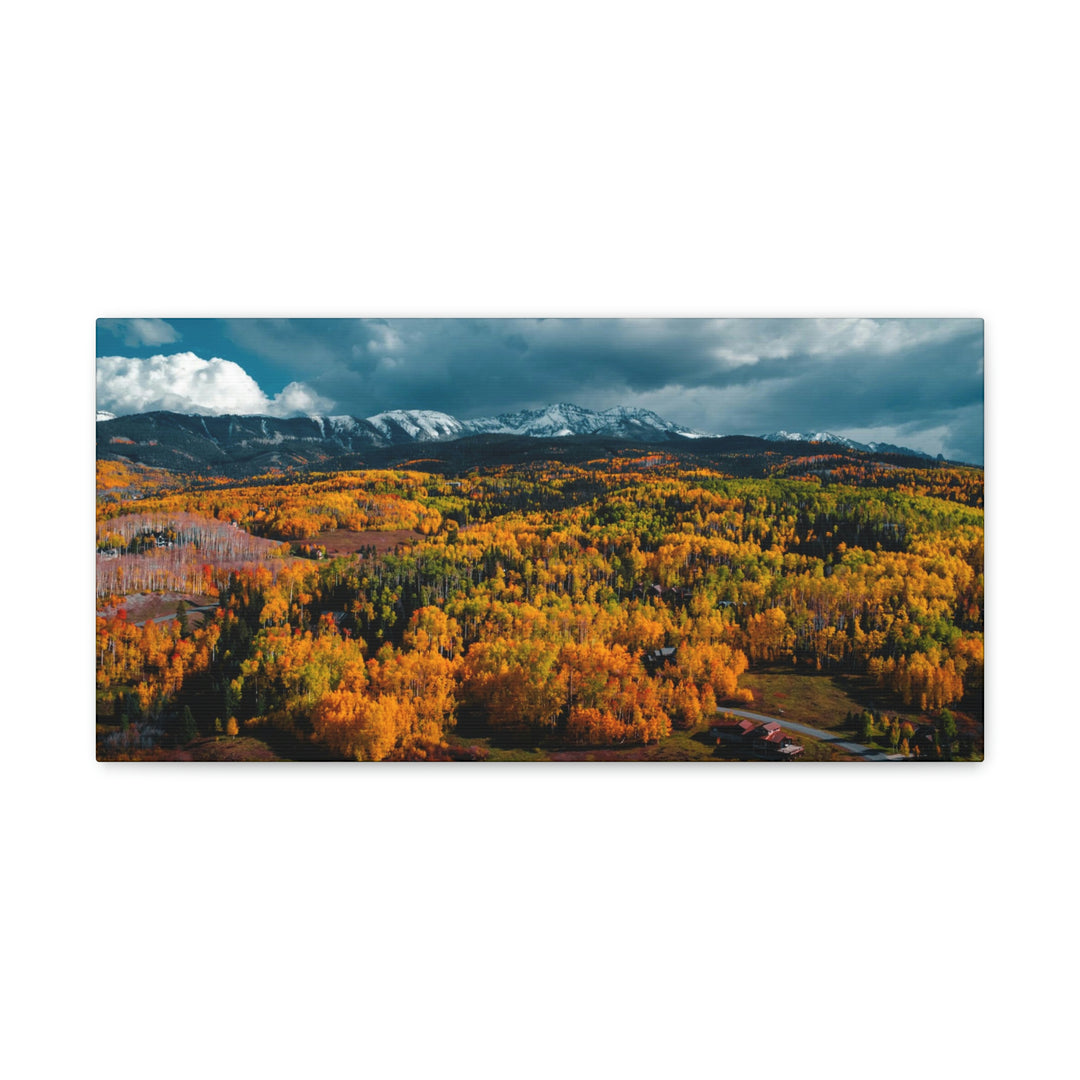 Golds of Autumn - Canvas