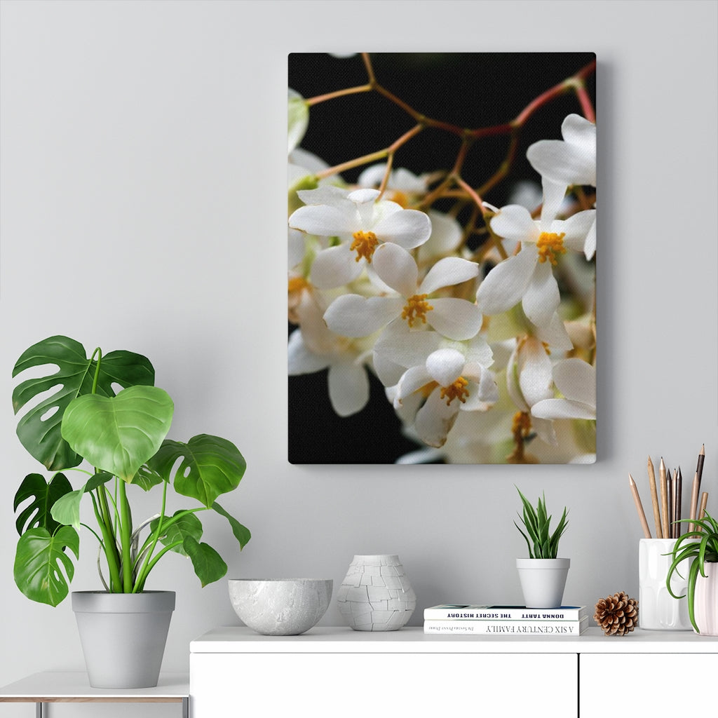 Floral Network - Canvas