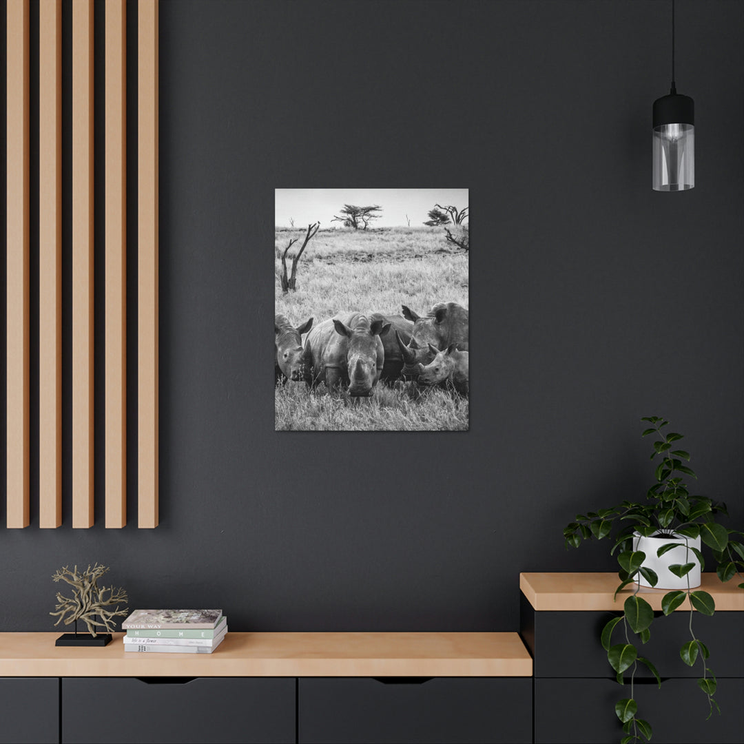 Rhino Family in Black and White - Canvas