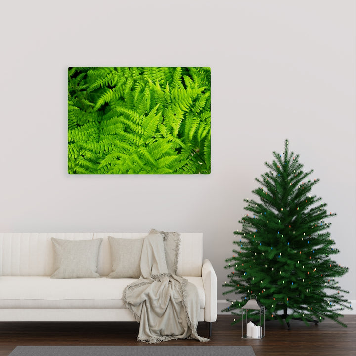 Ferns, Ferns, Ferns - Canvas