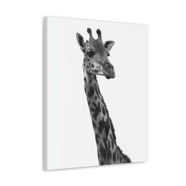 Giraffe Portrait in Black and White  - Canvas