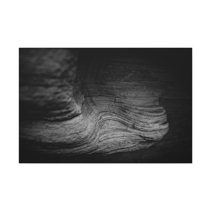 Sedimentary Rock Curves in Black and White - Canvas