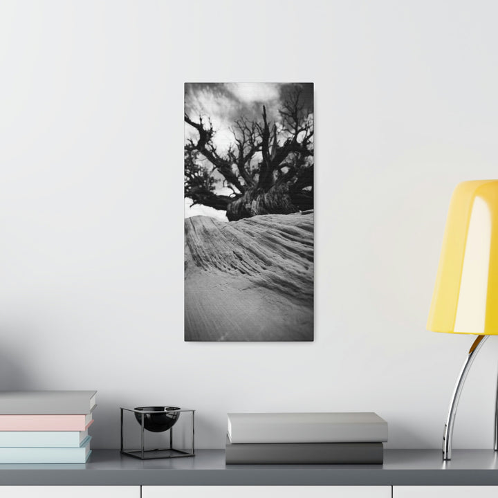 Desert Reach in Black and White - Canvas