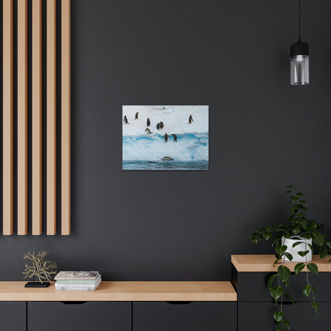 Porpoising Penguin - Canvas