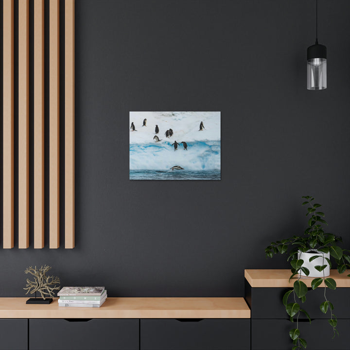 Porpoising Penguin - Canvas