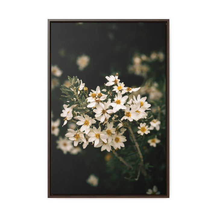 A Touch of White - Canvas with Frame