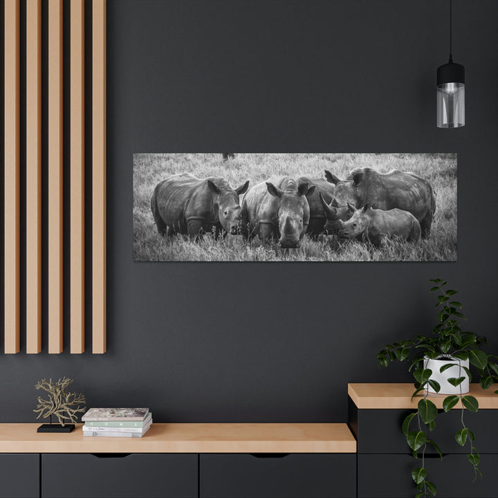 Rhino Family in Black and White - Canvas