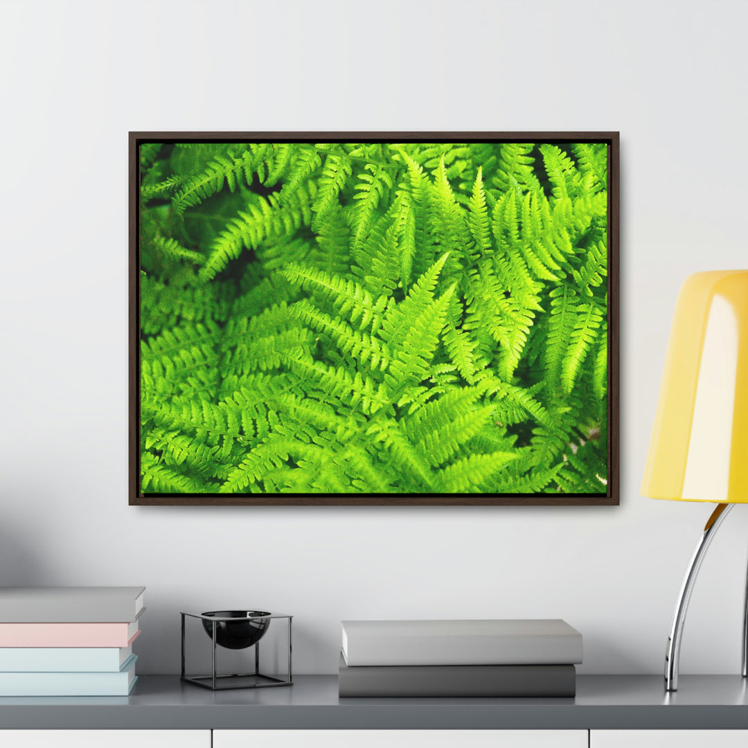 Ferns, Ferns, Ferns - Canvas with Frame