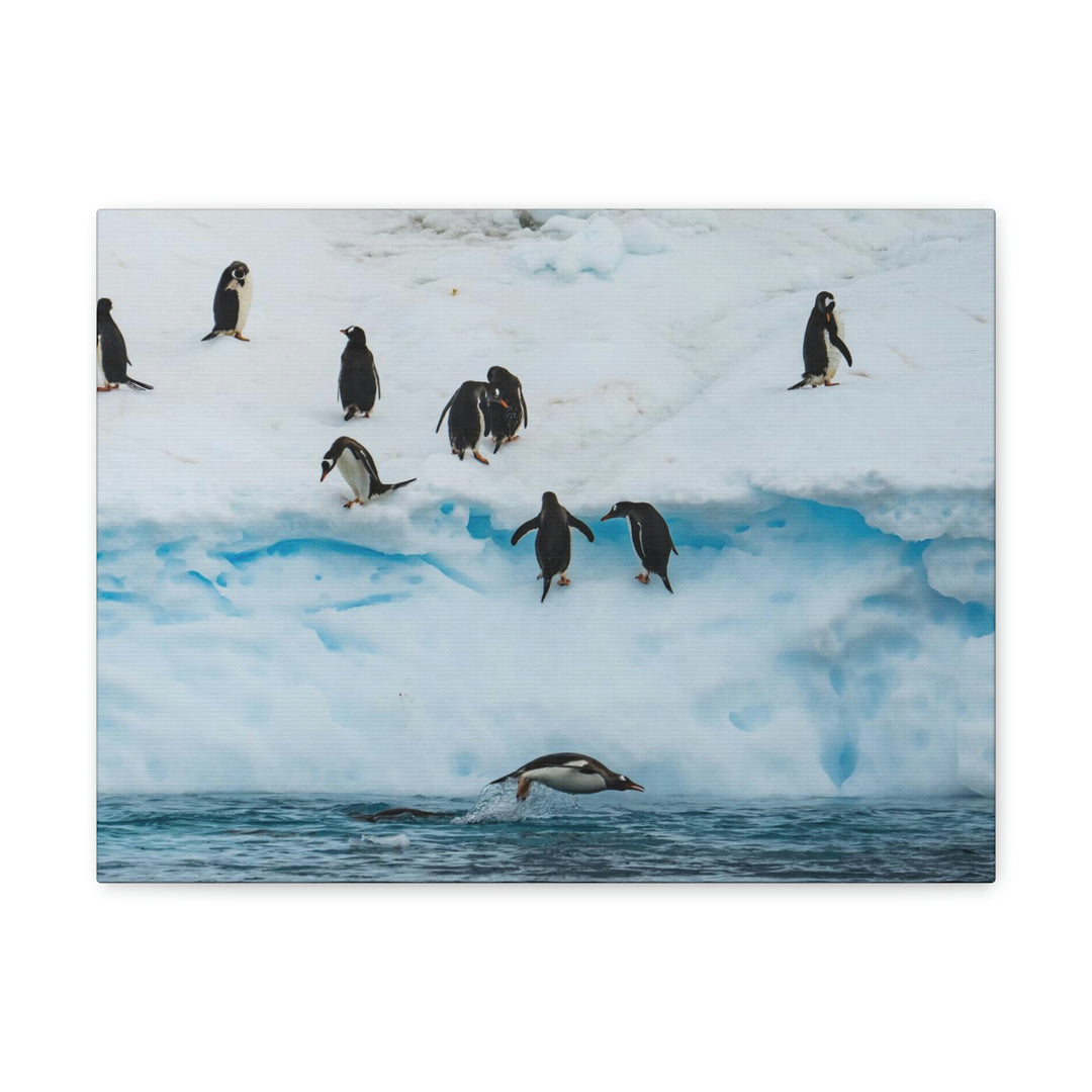 Porpoising Penguin - Canvas