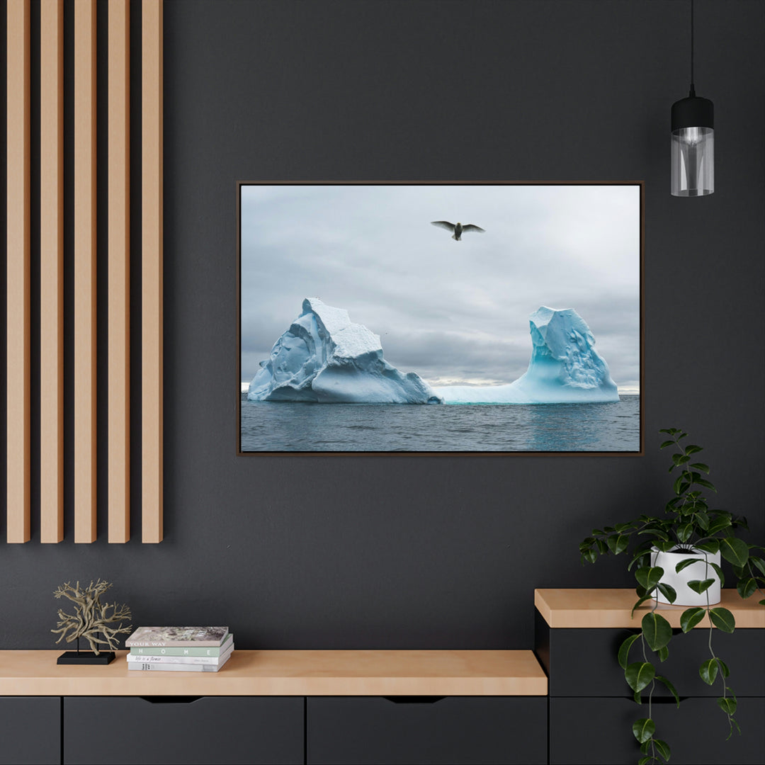 Antarctic Flight - Canvas with Frame