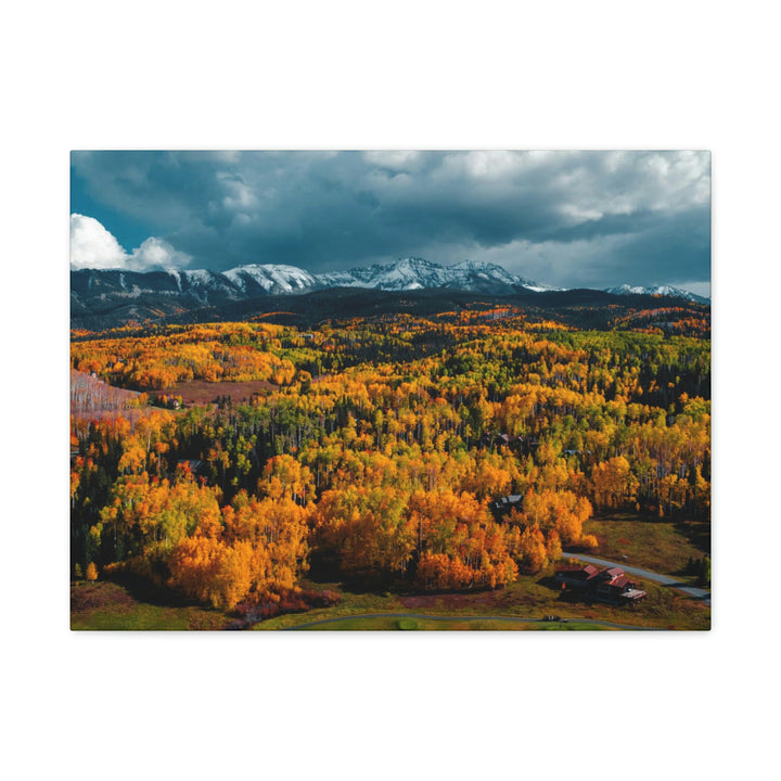 Golds of Autumn - Canvas