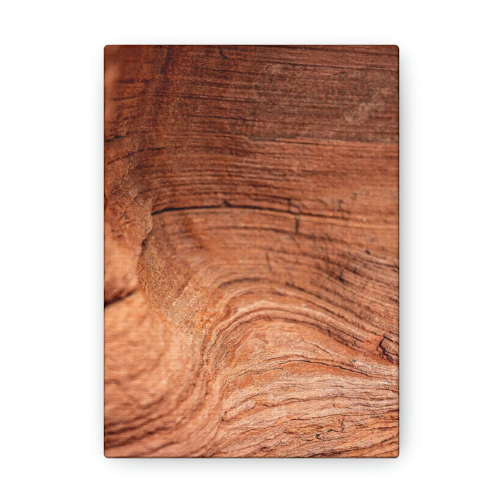 Sedimentary Rock Curves - Canvas