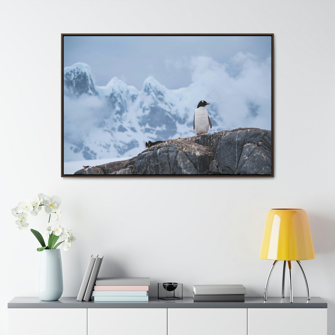 Poised Penguin - Canvas with Frame