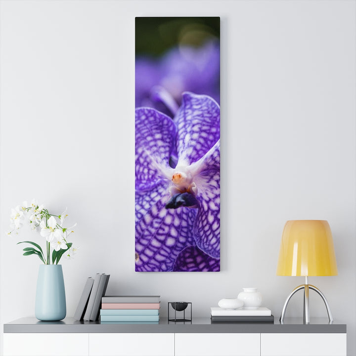 Orchid Detail - Canvas