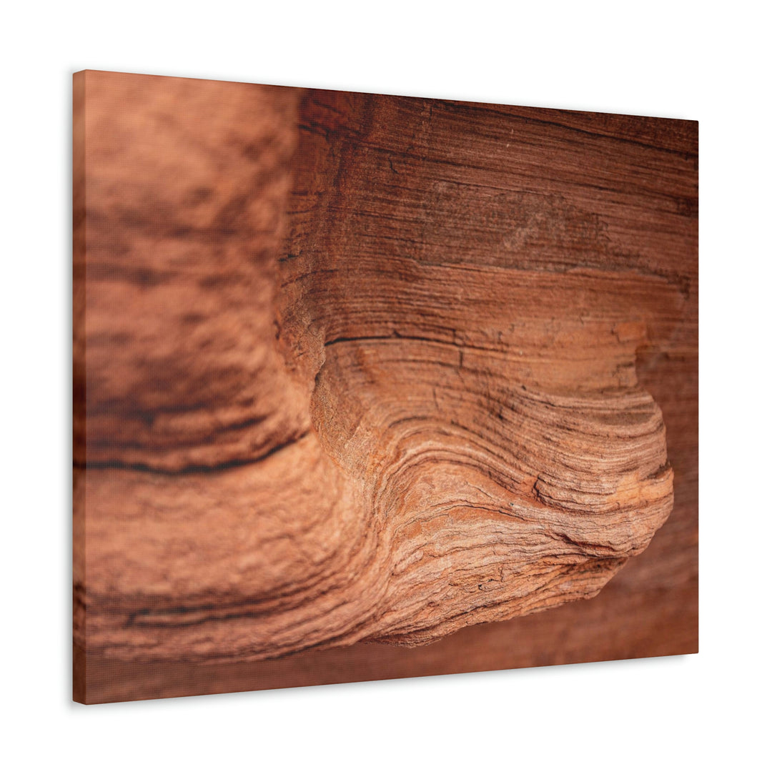 Sedimentary Rock Curves - Canvas