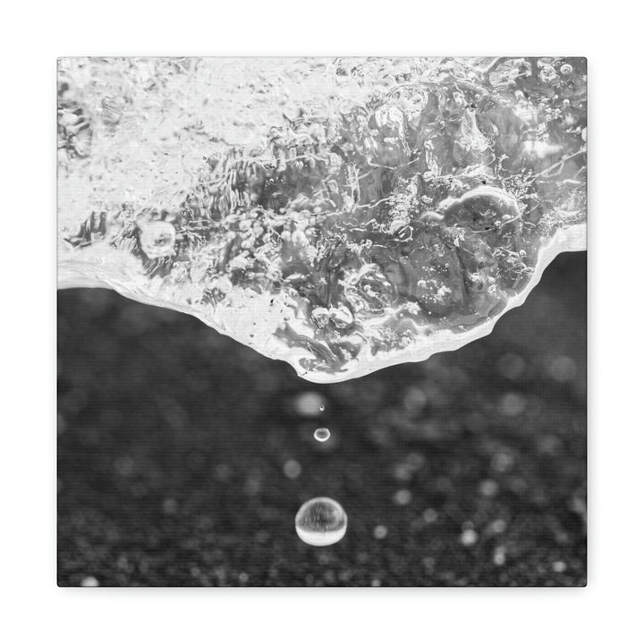 Suspended Droplet - Canvas