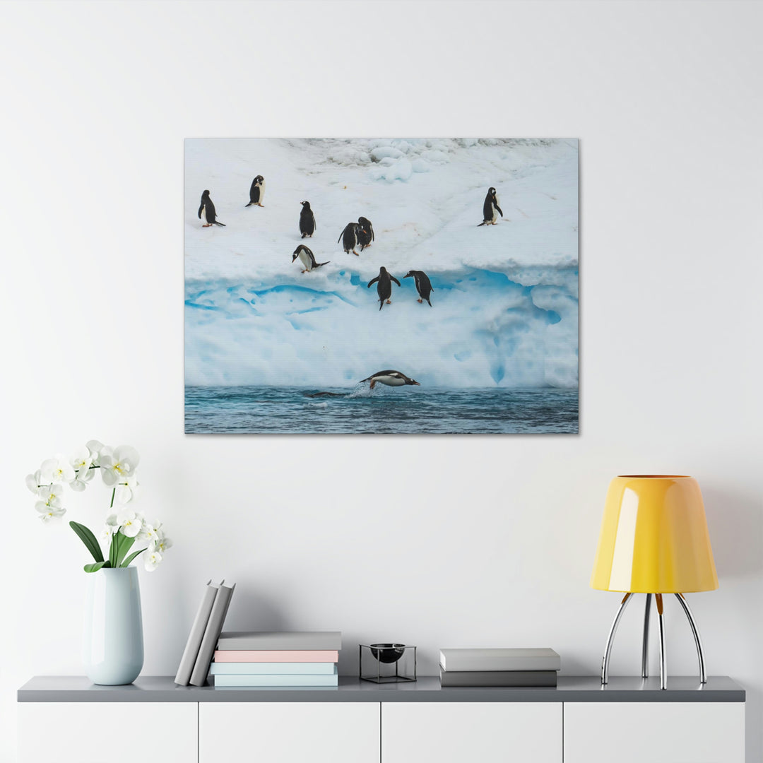 Porpoising Penguin - Canvas