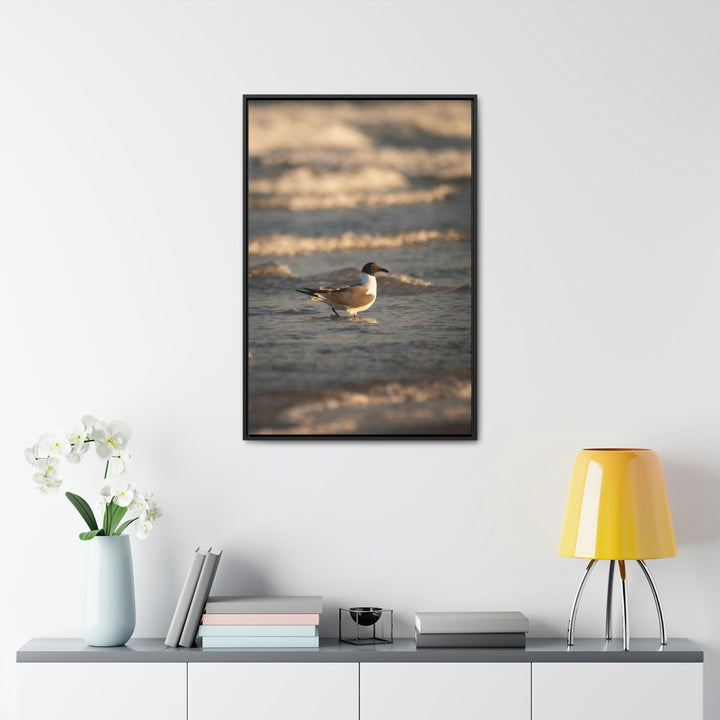 Laughing Gull in the Surf - Canvas with Frame