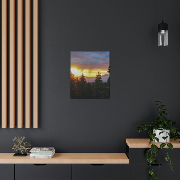 Rainy Sunset Through the Trees - Canvas