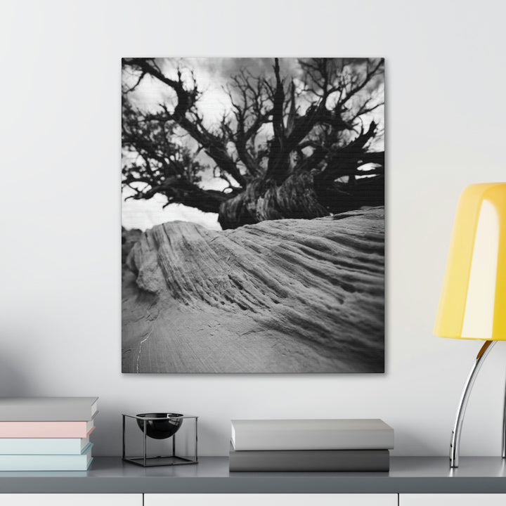 Desert Reach in Black and White - Canvas