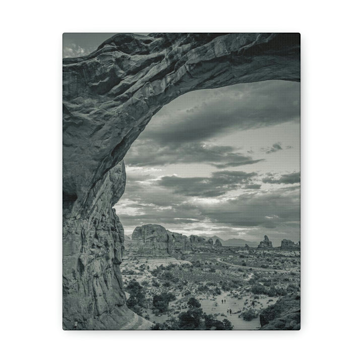 Natural Frames Part 2 in Black and White - Canvas