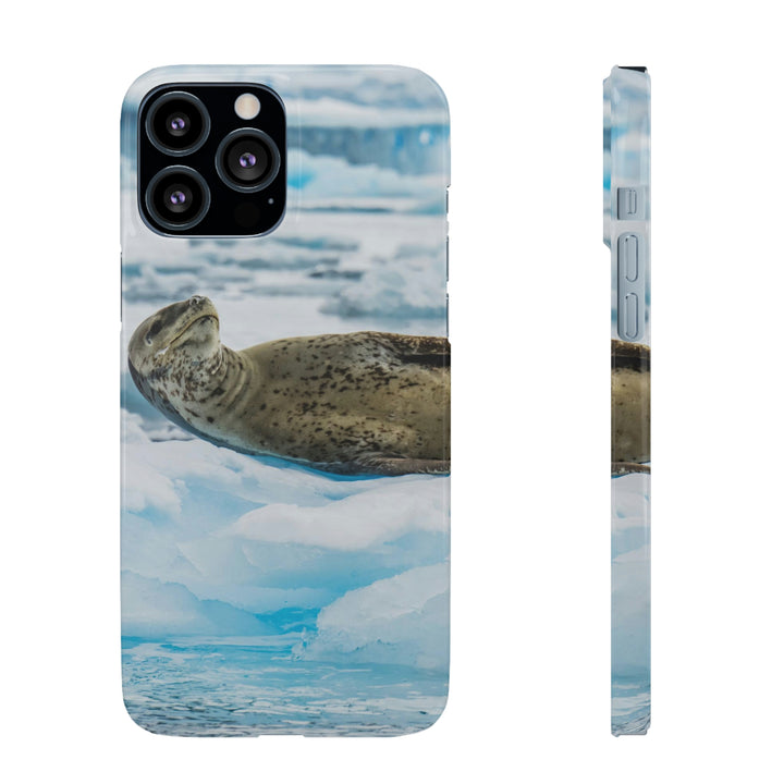 Leopard Seal Relaxing - Phone Case