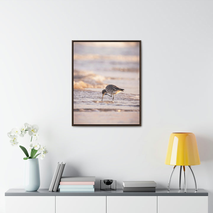 Willet Itch - Canvas with Frame