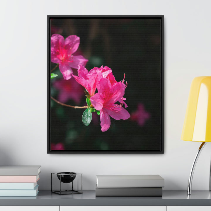 Standout Azalea - Canvas with Frame - Visiting This World