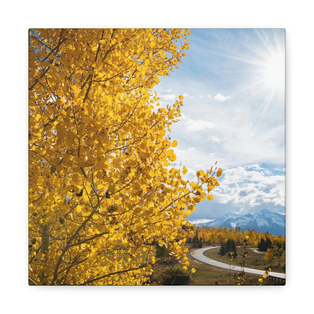 Golden Sunshine - Canvas