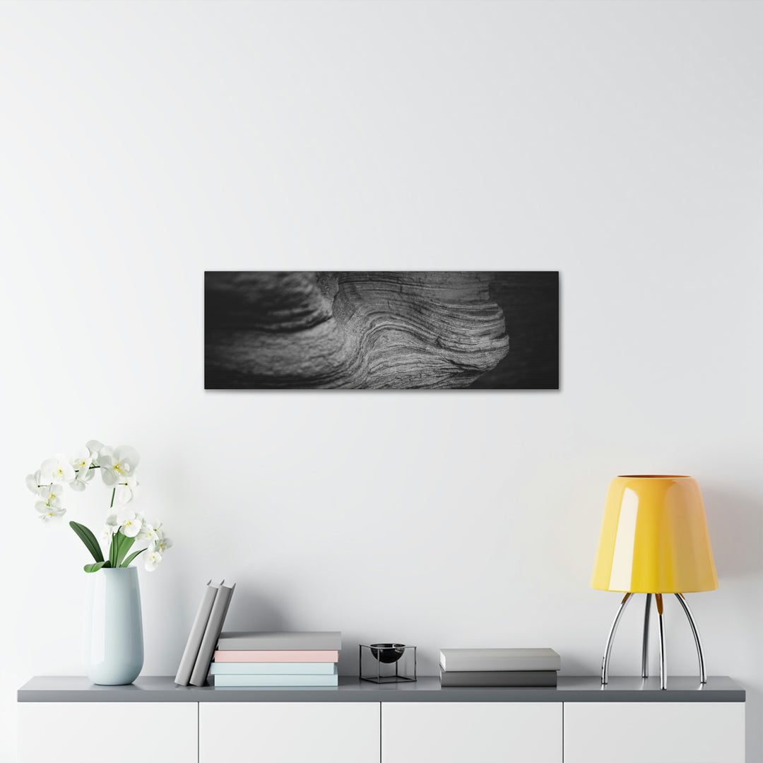 Sedimentary Rock Curves in Black and White - Canvas