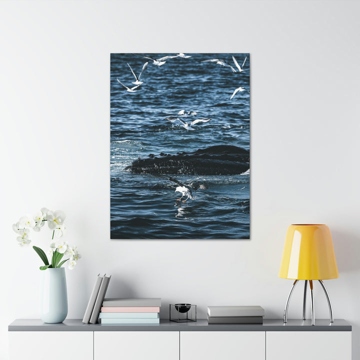 Humpback Hello - Canvas