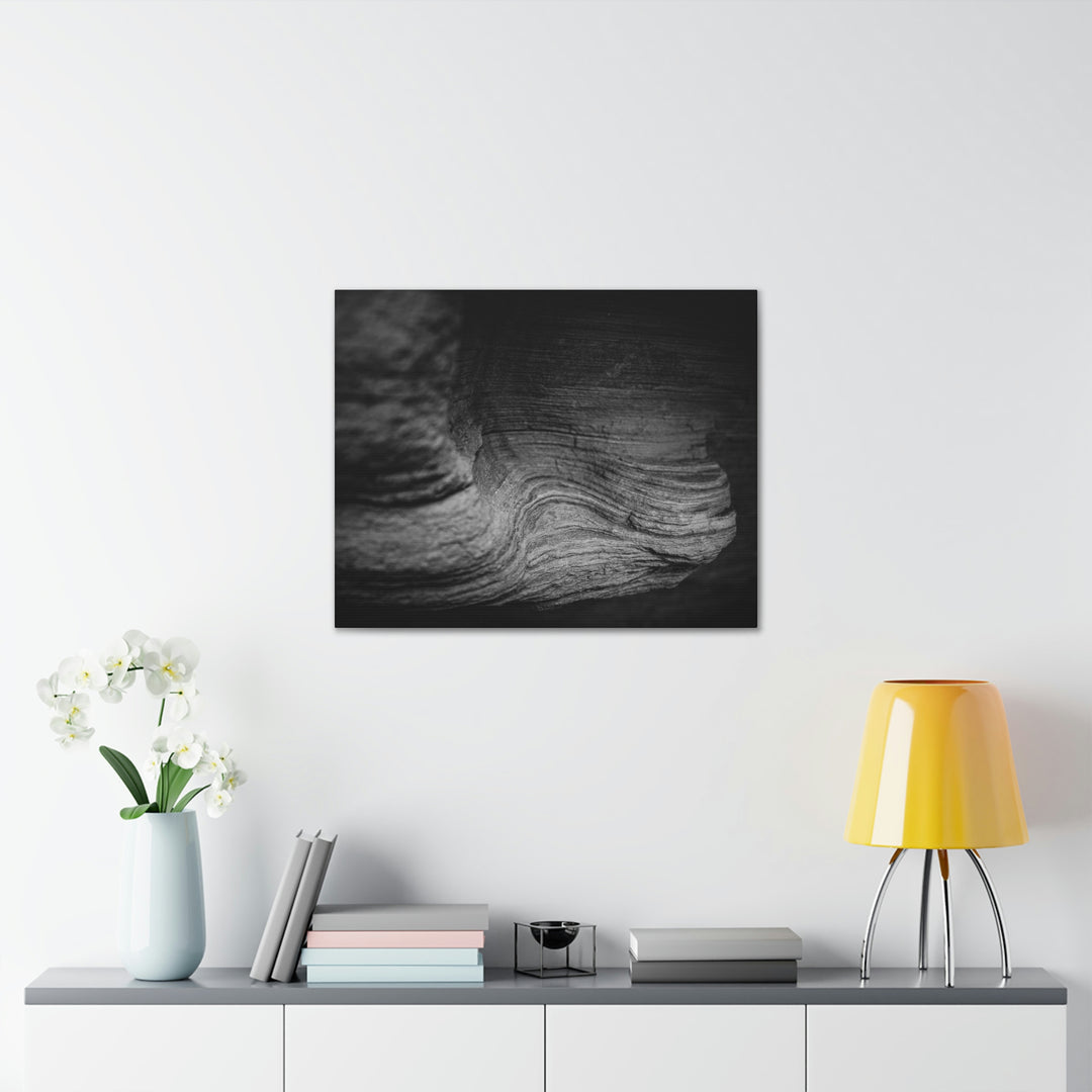 Sedimentary Rock Curves in Black and White - Canvas