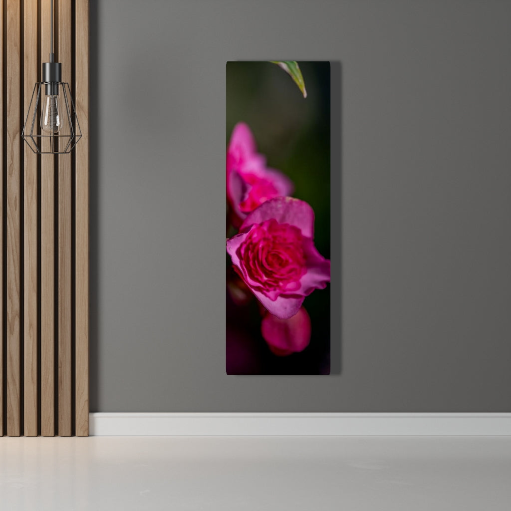 Hybrid Tea Lily - Canvas