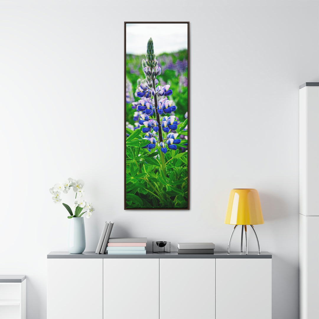 Glowing Lupin - Canvas with Frame