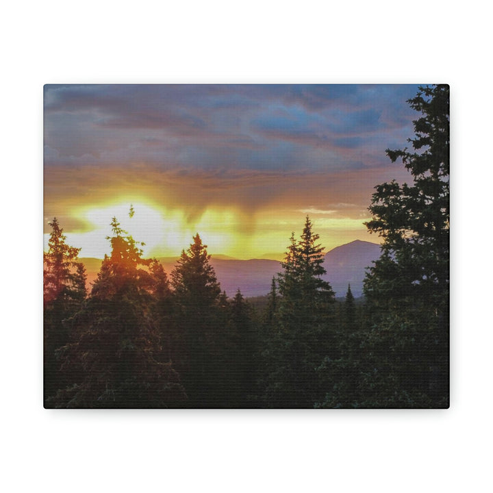 Rainy Sunset Through the Trees - Canvas