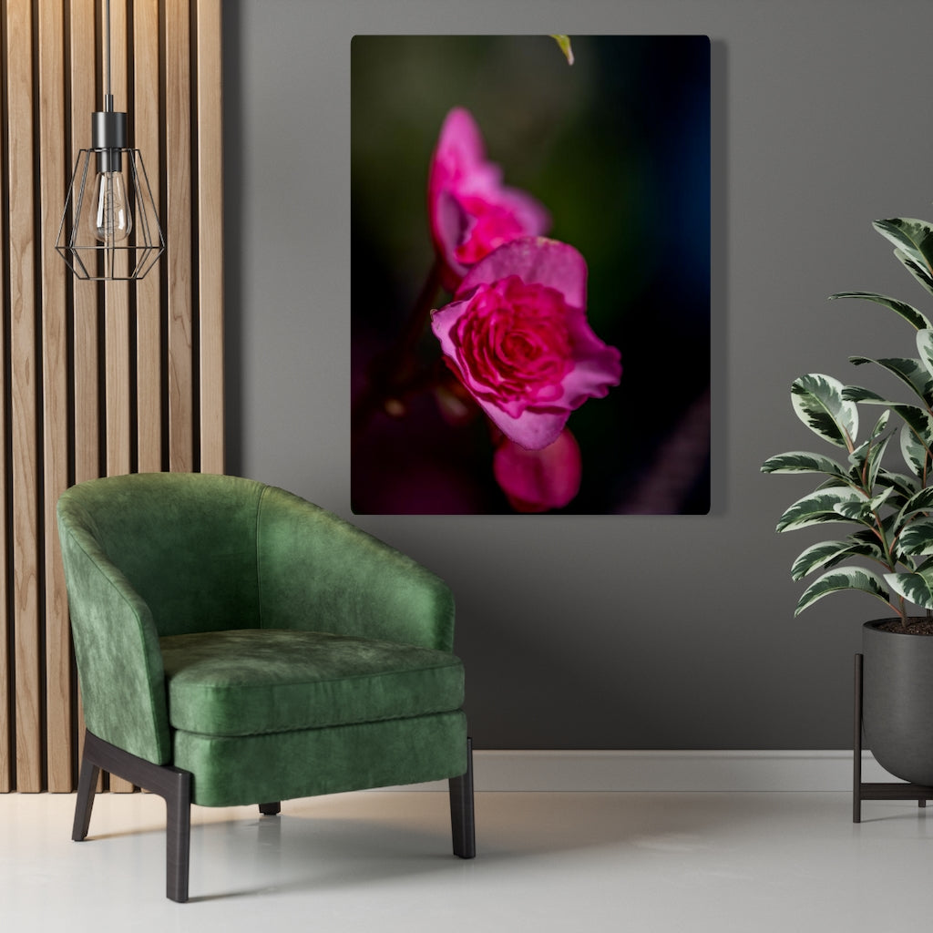 Hybrid Tea Lily - Canvas