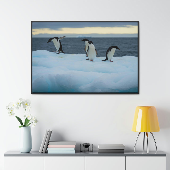 Penguin Dance - Canvas with Frame