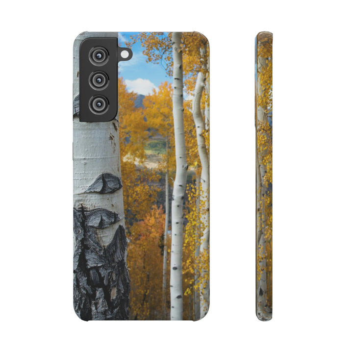 Aspens Changing - Phone Case