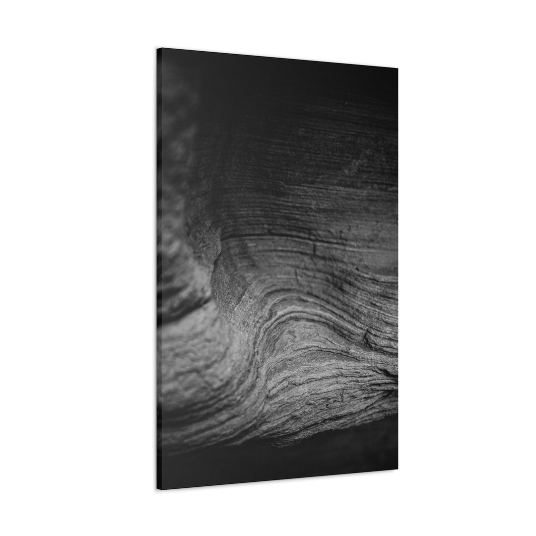 Sedimentary Rock Curves in Black and White - Canvas