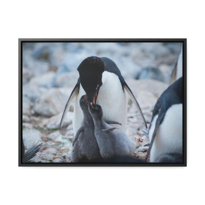 Feeding Time - Canvas with Frame